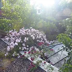 Zur Rose Weil am Rhein