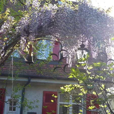 Guest house Zur Rose 2*