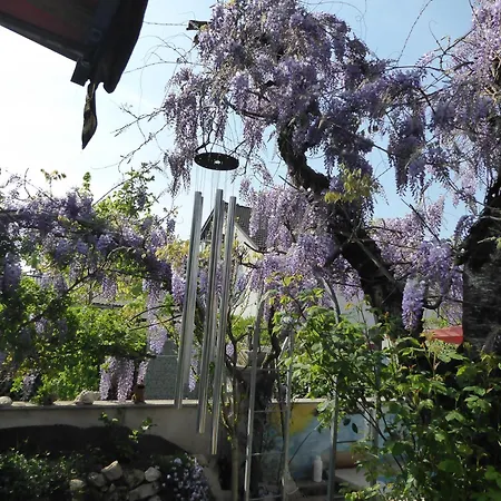 Zur Rose Weil am Rhein