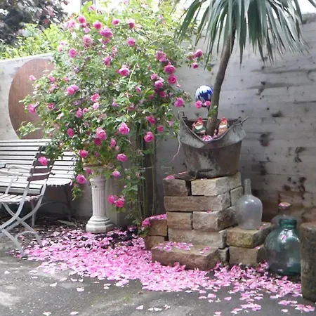 Vendégház Zur Rose